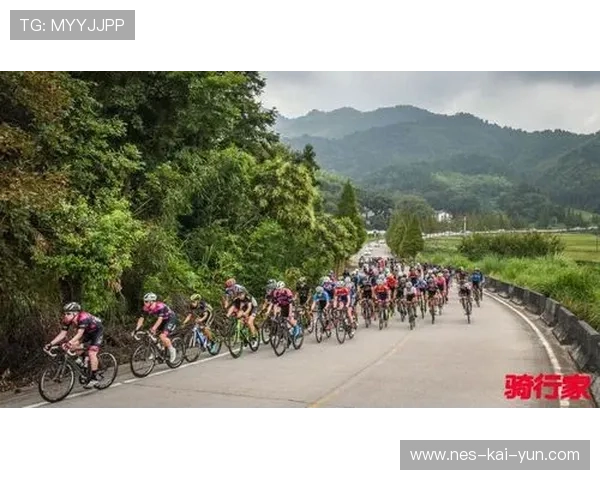 自行车赛末段体能分配成为制胜点