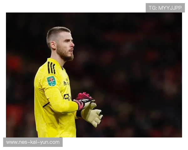 西班牙球员赫佐尼亚可能重返NBA，NBA球队对其感兴趣，西班牙队门将德赫亚